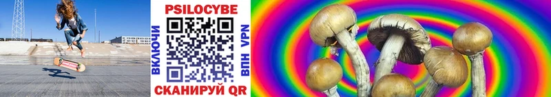 Псилоцибиновые грибы Psilocybe  Купить  Мценск 